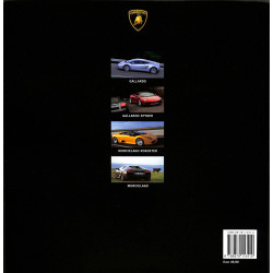 Lamborghini a Tempo Furioso