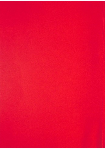 P40 - Werkstatthandbuch Porsche-Diesel, Deutz-Getriebe Typ T25, Regelhydraulik voor de Porsche Diesel 238-219-329-339