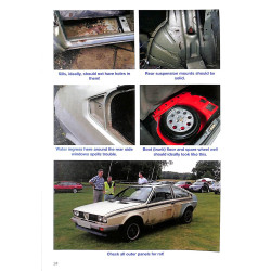 Alfa Romeo Alfasud Alle Alfasud-sedans van 1971 tot 1983 en Sprints van 1976 tot 1989