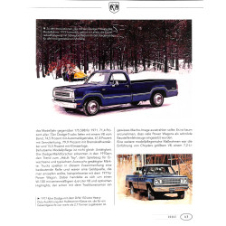 Pickup - Multitalente im Einsatz