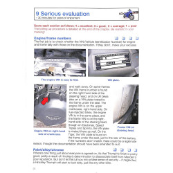 Hinckley Triumph Triples and Fours 750, 900 : 750, 900, 955, 1000, 1050, 1200 - 1991-2009