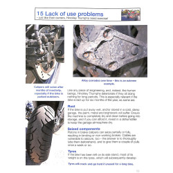 Hinckley Triumph Triples and Fours 750, 900 : 750, 900, 955, 1000, 1050, 1200 - 1991-2009