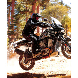 Ultimate Harley Davidson