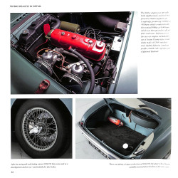 Werkt Healeys in detail