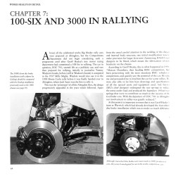 Werkt Healeys in detail