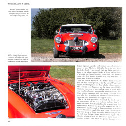 Werkt Healeys in detail