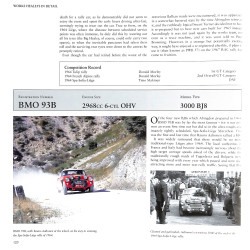 Werkt Healeys in detail