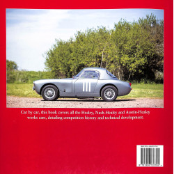 Werkt Healeys in detail