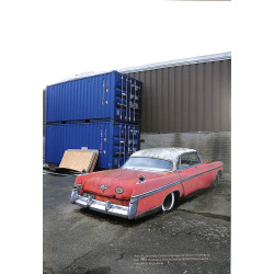 Palmen Collectie het verhaal achter de schuurvondst