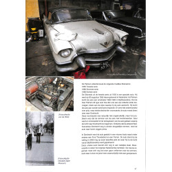 Palmen Collectie het verhaal achter de schuurvondst