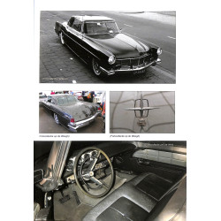 Palmen Collectie het verhaal achter de schuurvondst