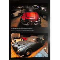 Palmen Collectie het verhaal achter de schuurvondst