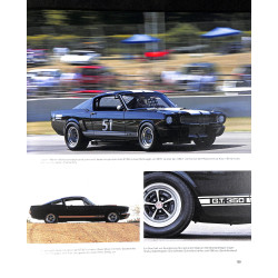 Shelby  Cobra - Mustang - GT40