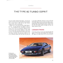 LOTUS ESPRIT