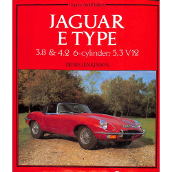 Jaguar E Type 3.8 & 4.2 6-cilinder 5.3 V12