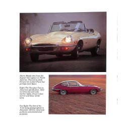 Jaguar E Type 3.8 & 4.2 6-cilinder 5.3 V12