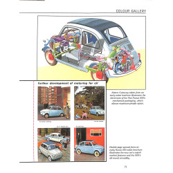 Fiat & Abarth 500 & 600