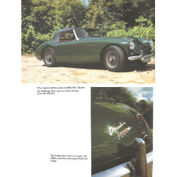 Austin Healey 100 & 3000 Series