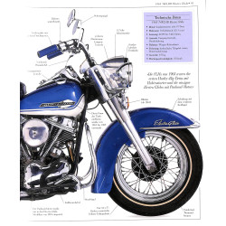 Harley-Davidson ~ Hugo Wilson