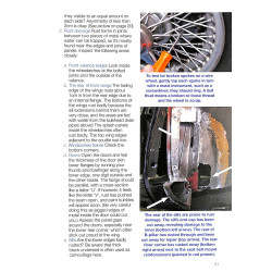 Triumph TR2 en TR3 - Alle modellen (inclusief 3A en 3B) 1953 tot 1962