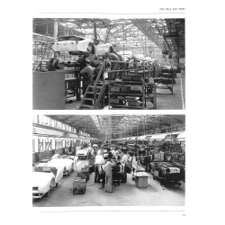 Triumph TR2, 3 & 3A In Detail
