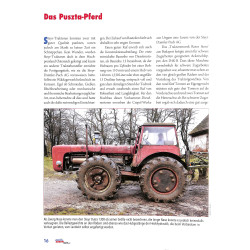 Steyr Sechszylinder Traktoren 1968-2025